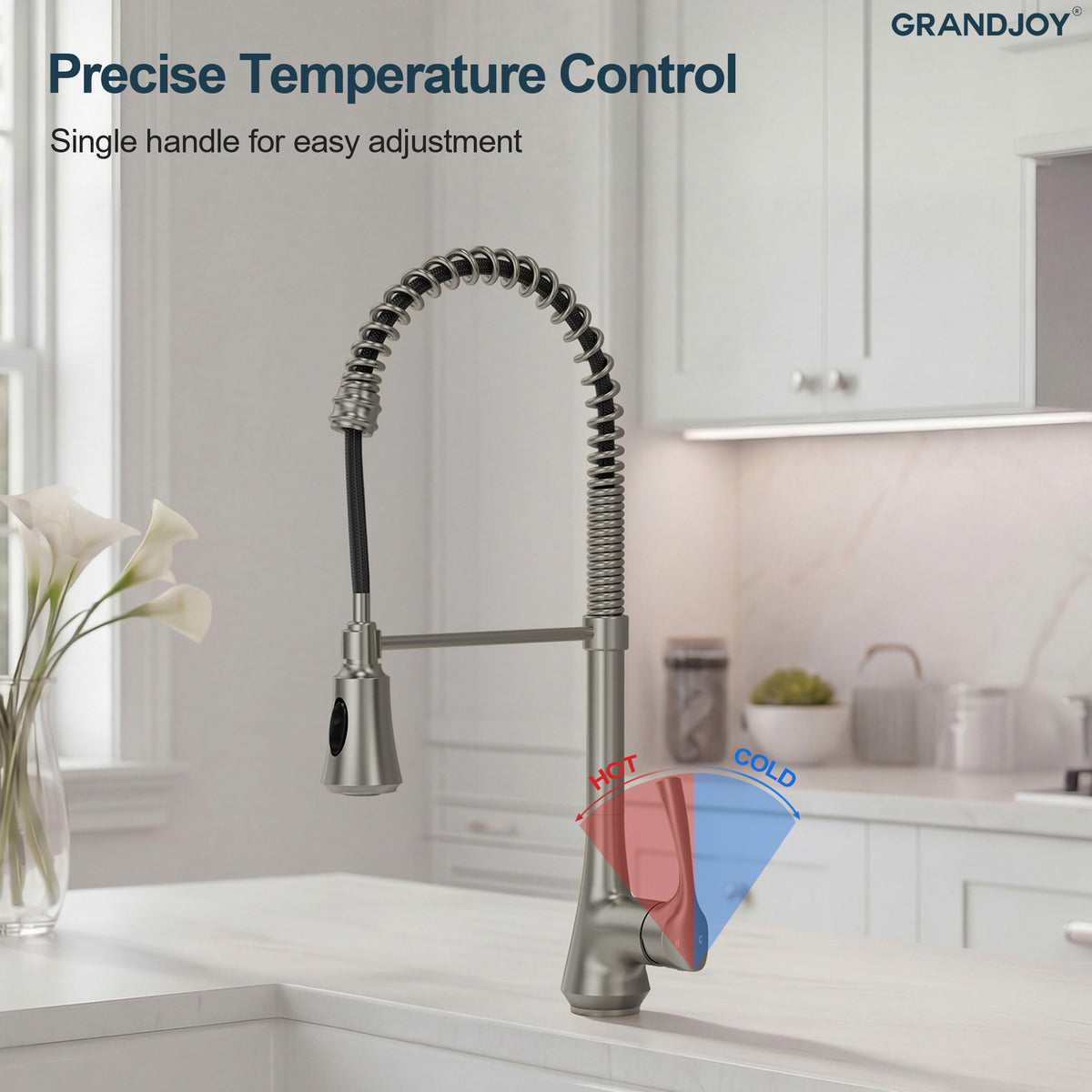 Single-Handle Pre-Rinse Spring Pull-Down Kitchen Faucet