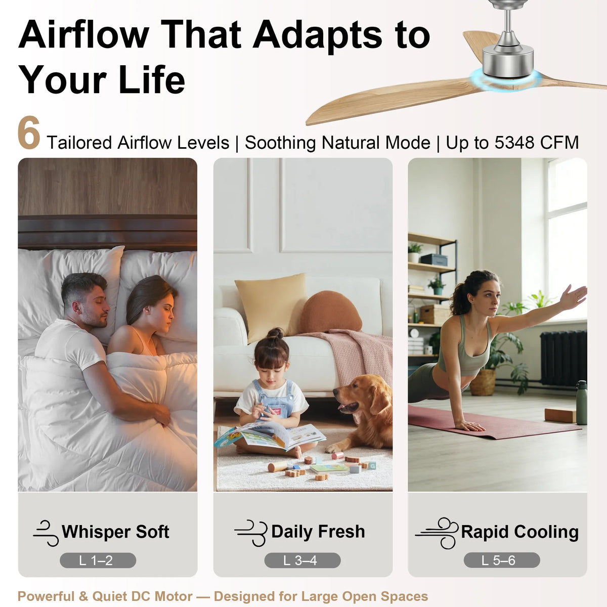 65-Inch Downrod Mount 3-Blade Ceiling Fan without Light