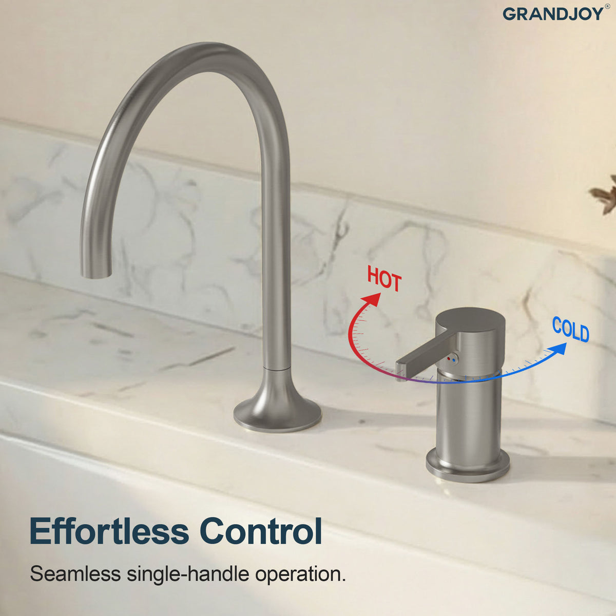 Two-Hole Bathroom Sink Faucet with 360-Degree Swivel Spout