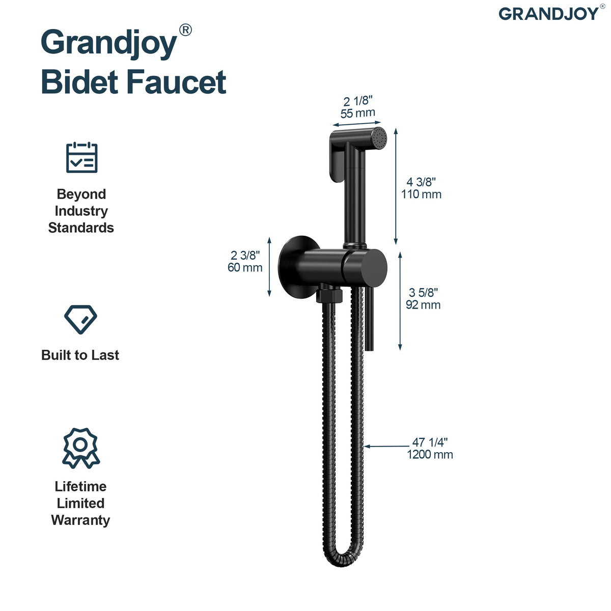 Single-Handle Wall-Mounted Brass Bidet Sprayer with Hot and Cold Control