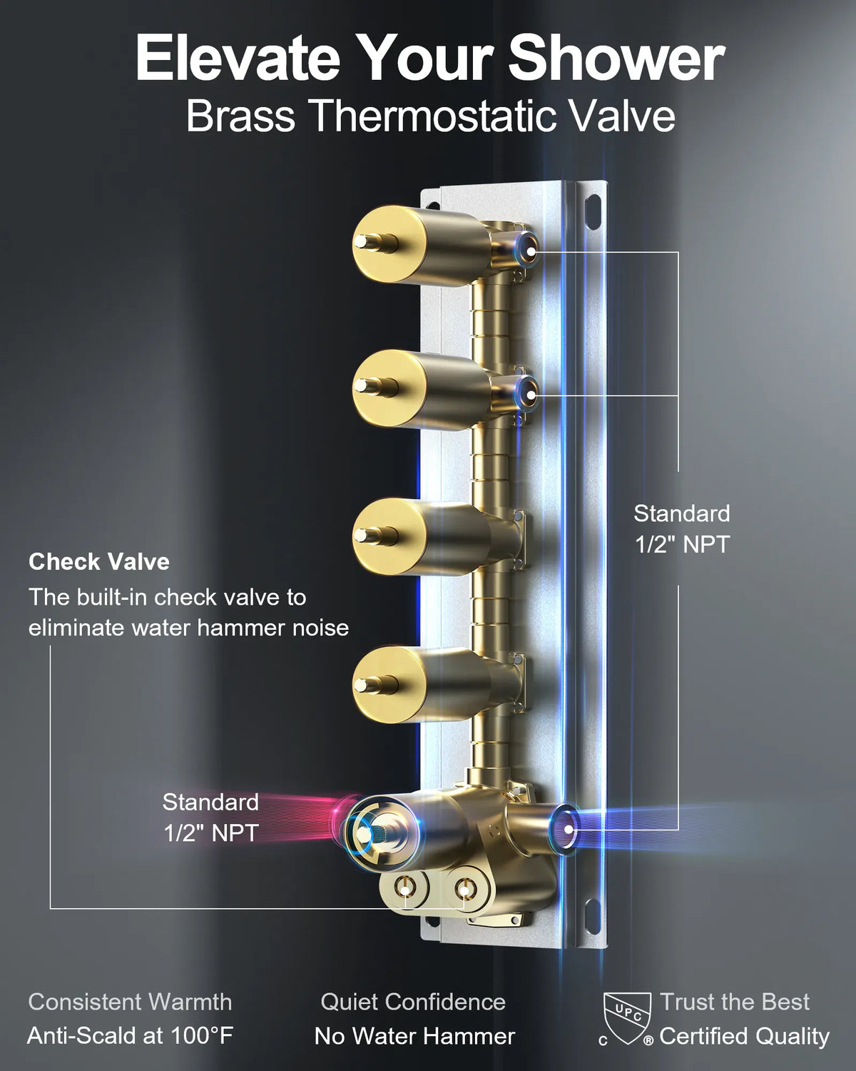 Ceiling-Mounted Multi-Spray Shower System with Secondary Wall Head