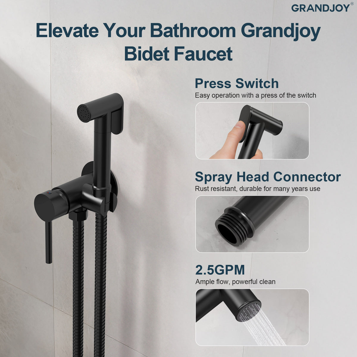 Single-Handle Wall-Mounted Brass Bidet Sprayer with Hot and Cold Control