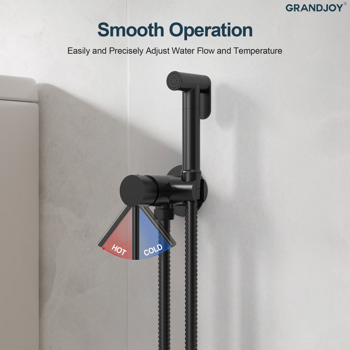 Single-Handle Wall-Mounted Brass Bidet Sprayer with Hot and Cold Control