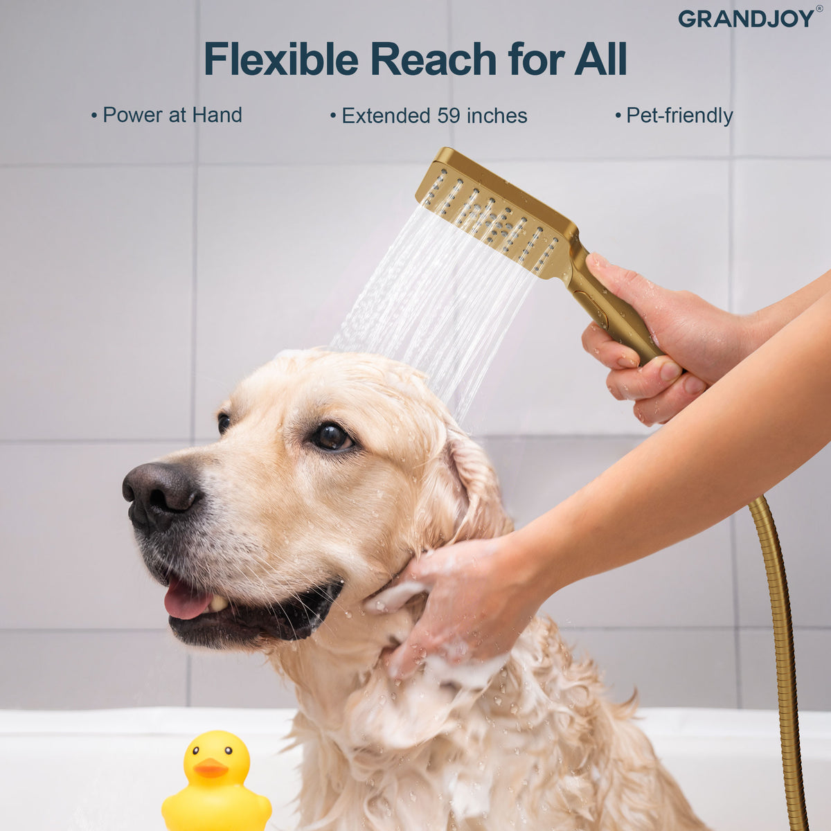Wall-Mounted Shower Handheld with Three Spray Modes