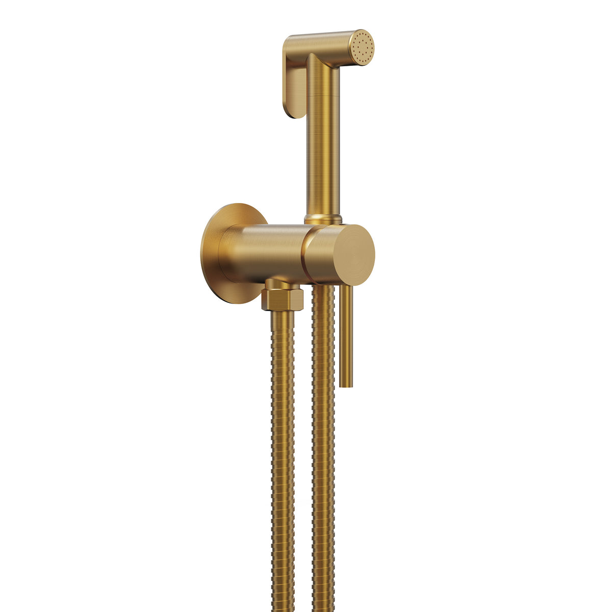 Single-Handle Wall-Mounted Brass Bidet Sprayer with Hot and Cold Control