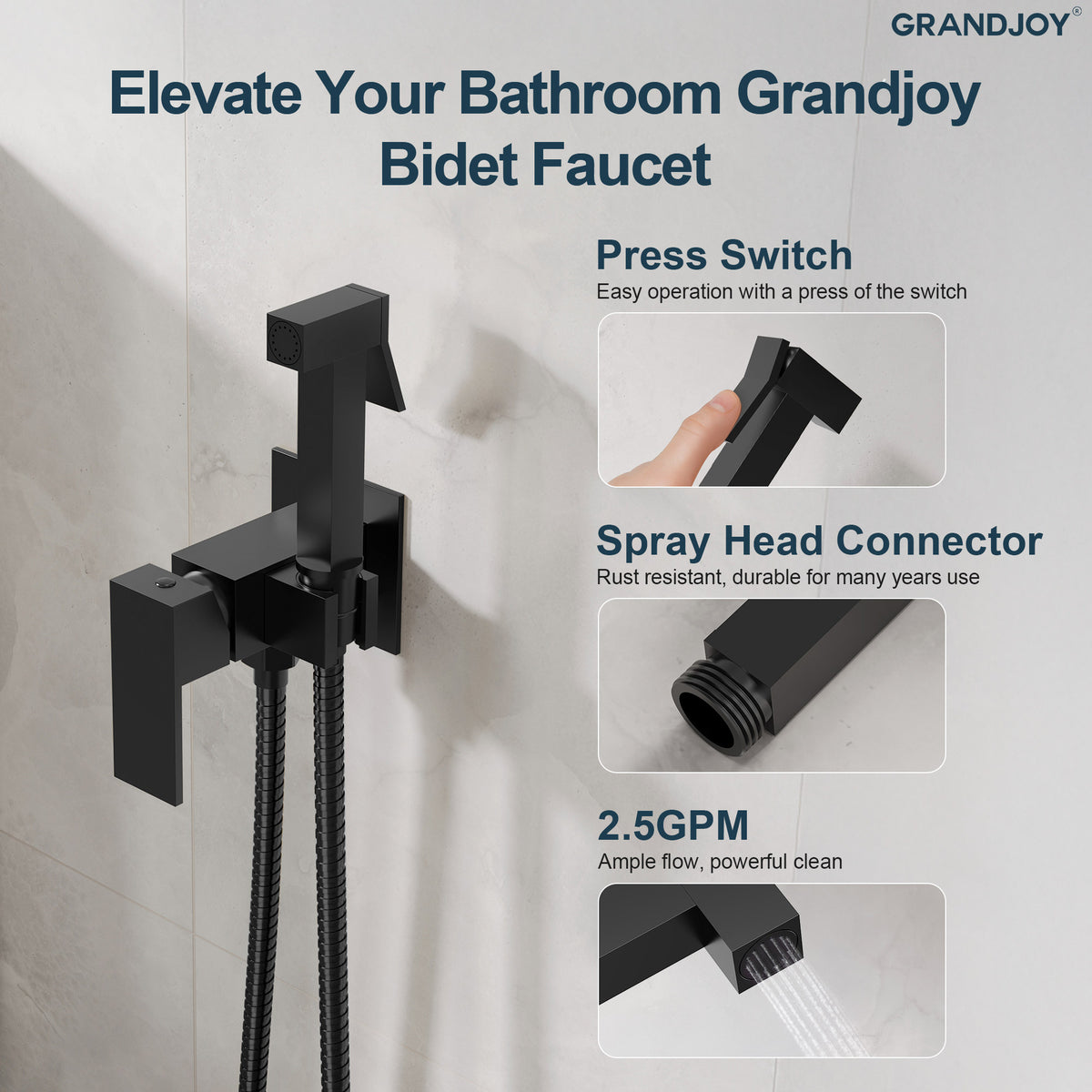 Wall-Mounted Brass Bidet Sprayer Set with Hot and Cold Control