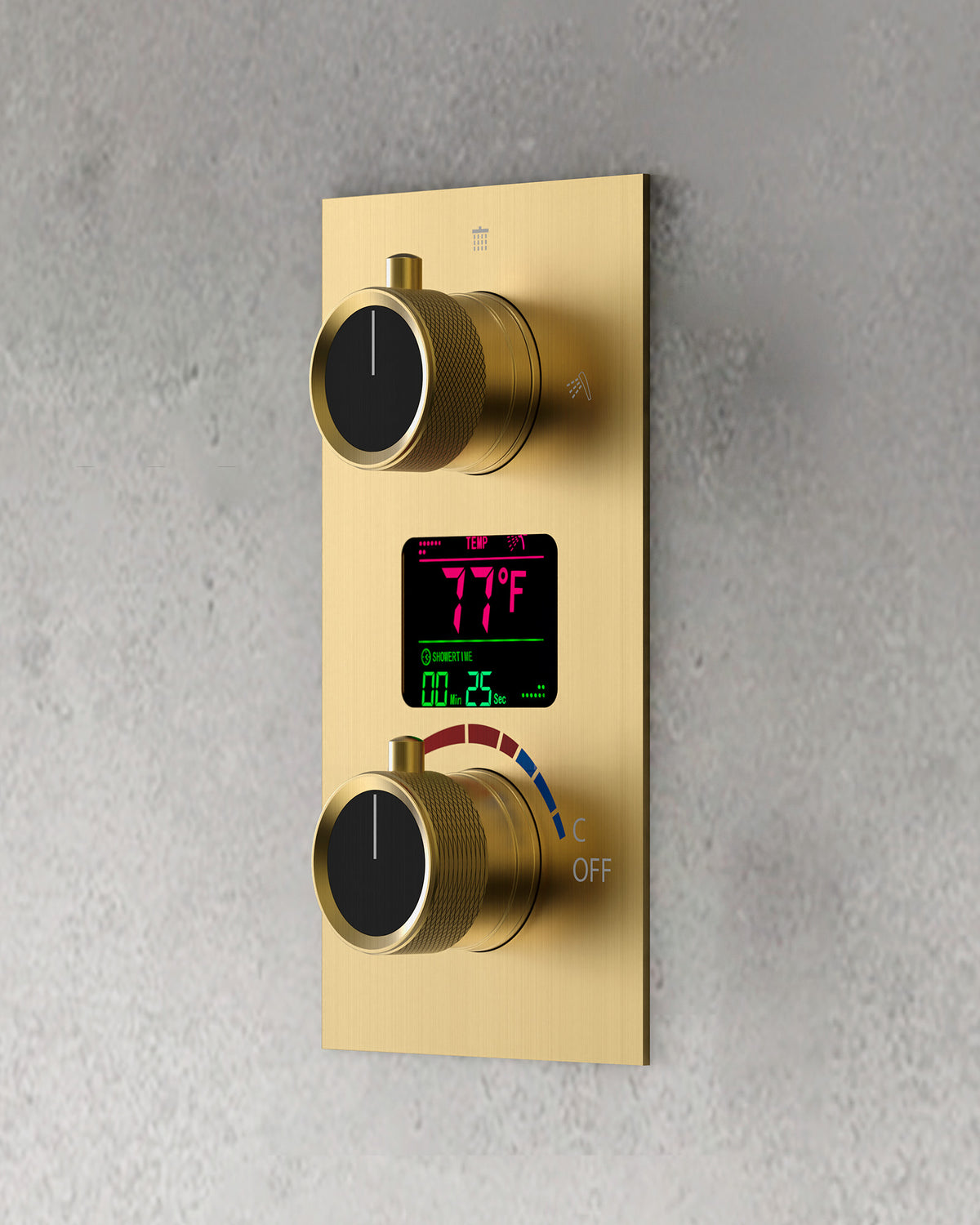 Ceiling-Mounted Dual Shower System with Adjustable Handheld Spray