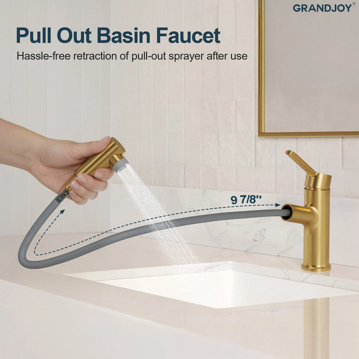 Single-Handle Pull-Out Bathroom Sink Faucet With Dual Spray Modes And Pop-Up Drain