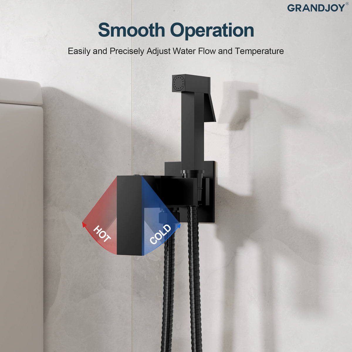 Wall-Mounted Brass Bidet Sprayer Set with Hot and Cold Control